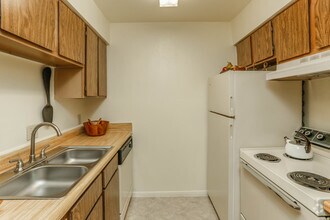 The Ash 208 floor plan
